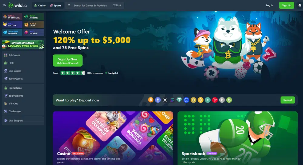 Wild.io Casino Homepage