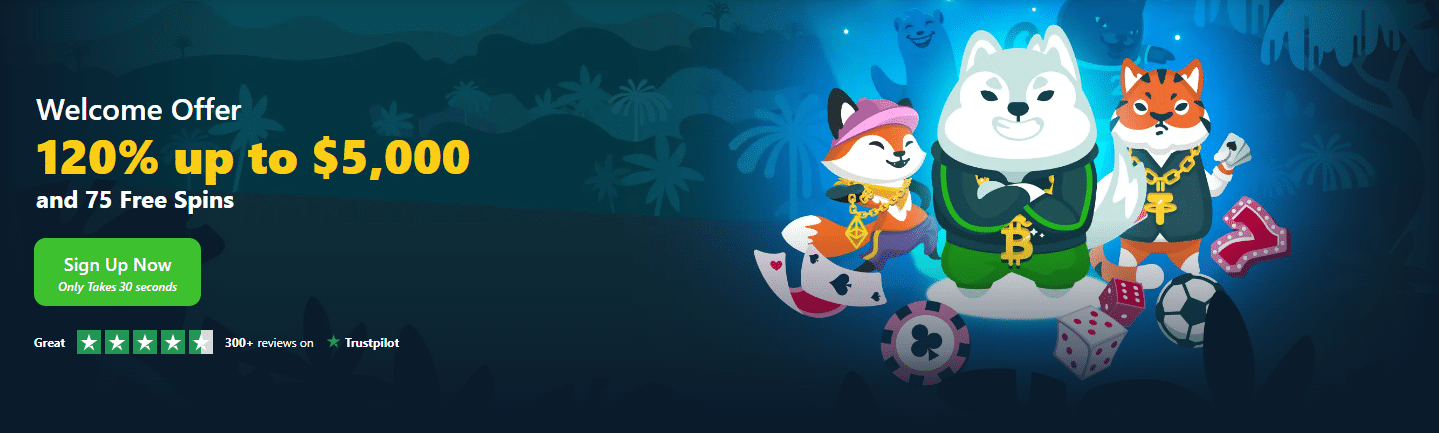 wild.io welcome bonus