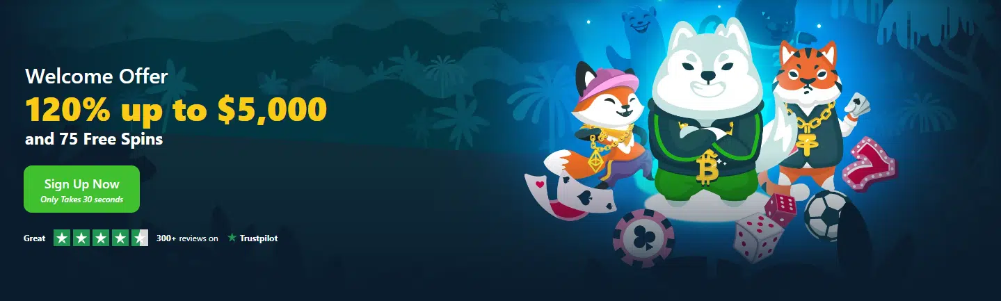 wild.io welcome bonus